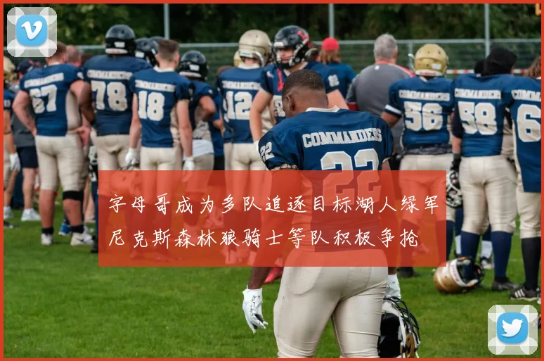 字母哥成为多队追逐目标湖人绿军尼克斯森林狼骑士等队积极争抢