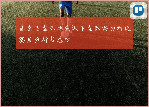 南京飞盘队与武汉飞盘队实力对比赛后分析与总结